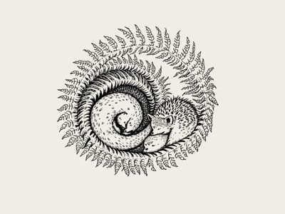 Rysunek ślimaka w stylu pen & ink