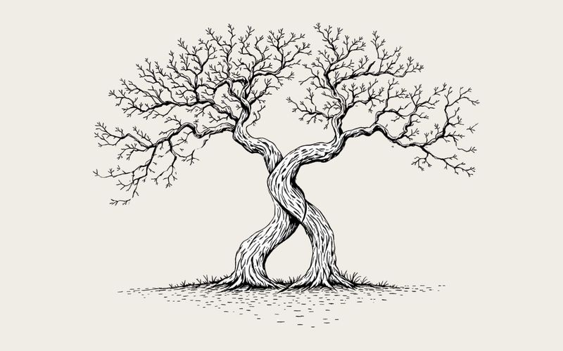 Kiedy terapia przestaje działać: opór czy mądrość Twojego systemu?